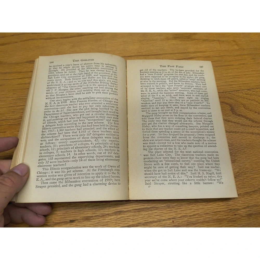 THE GOSLINGS A Study of the American Schools 1st Ed. 1924 ‎ By Upton Sinclair